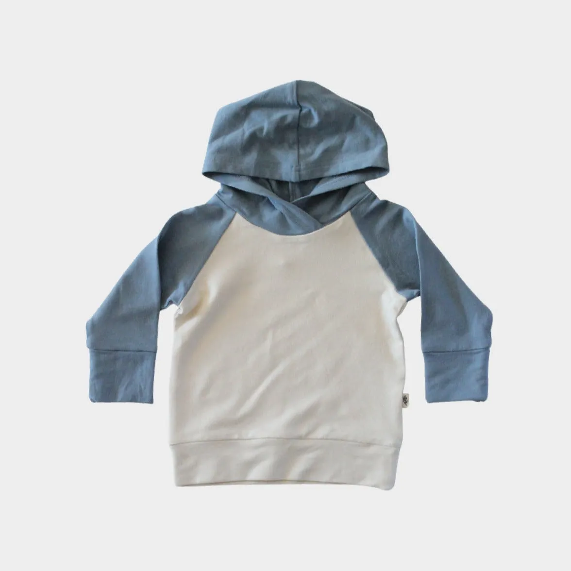 Babysprouts Colorblock Hoodie in Slate Blue